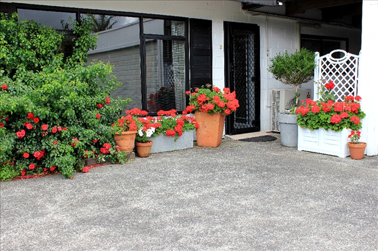 Nature Lodges (Auckland, North Island, New Zealand)