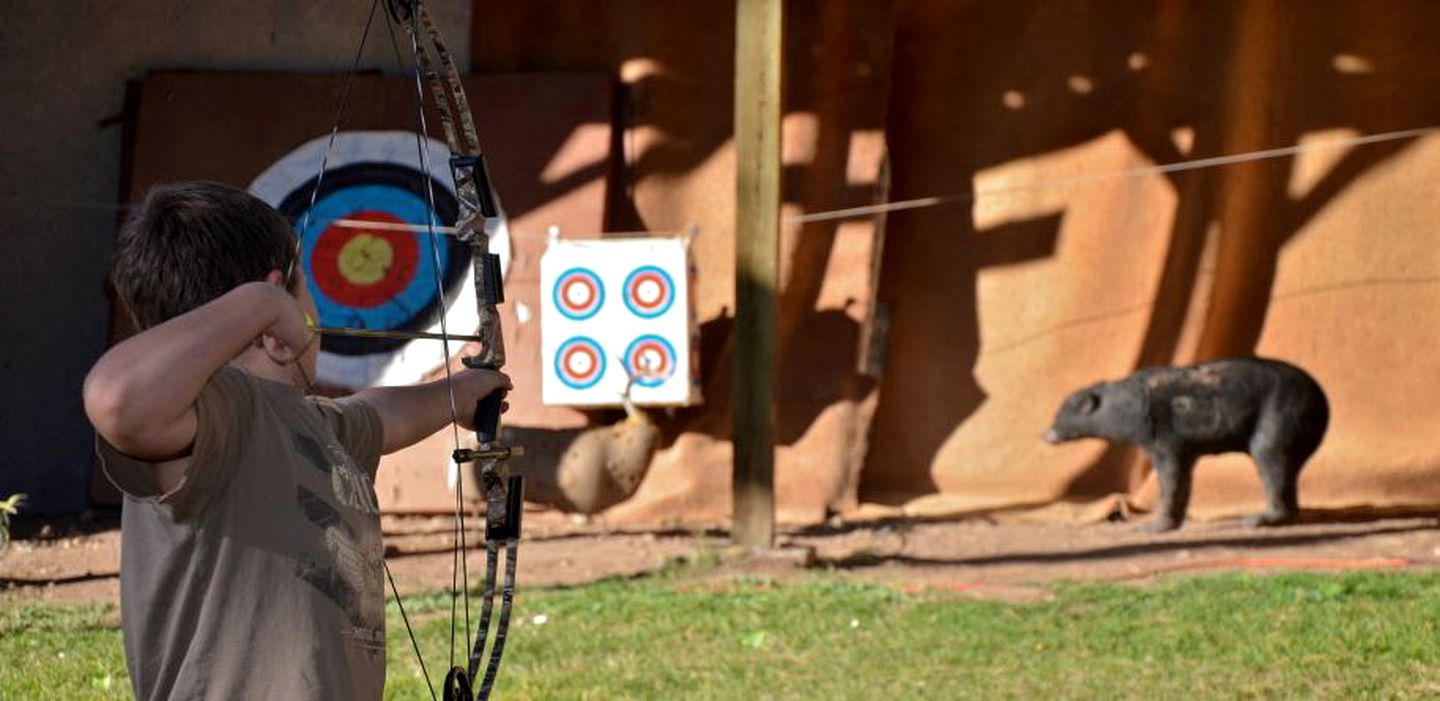 Pet-Friendly Cabin Rental with Trail Access near Durango, Colorado