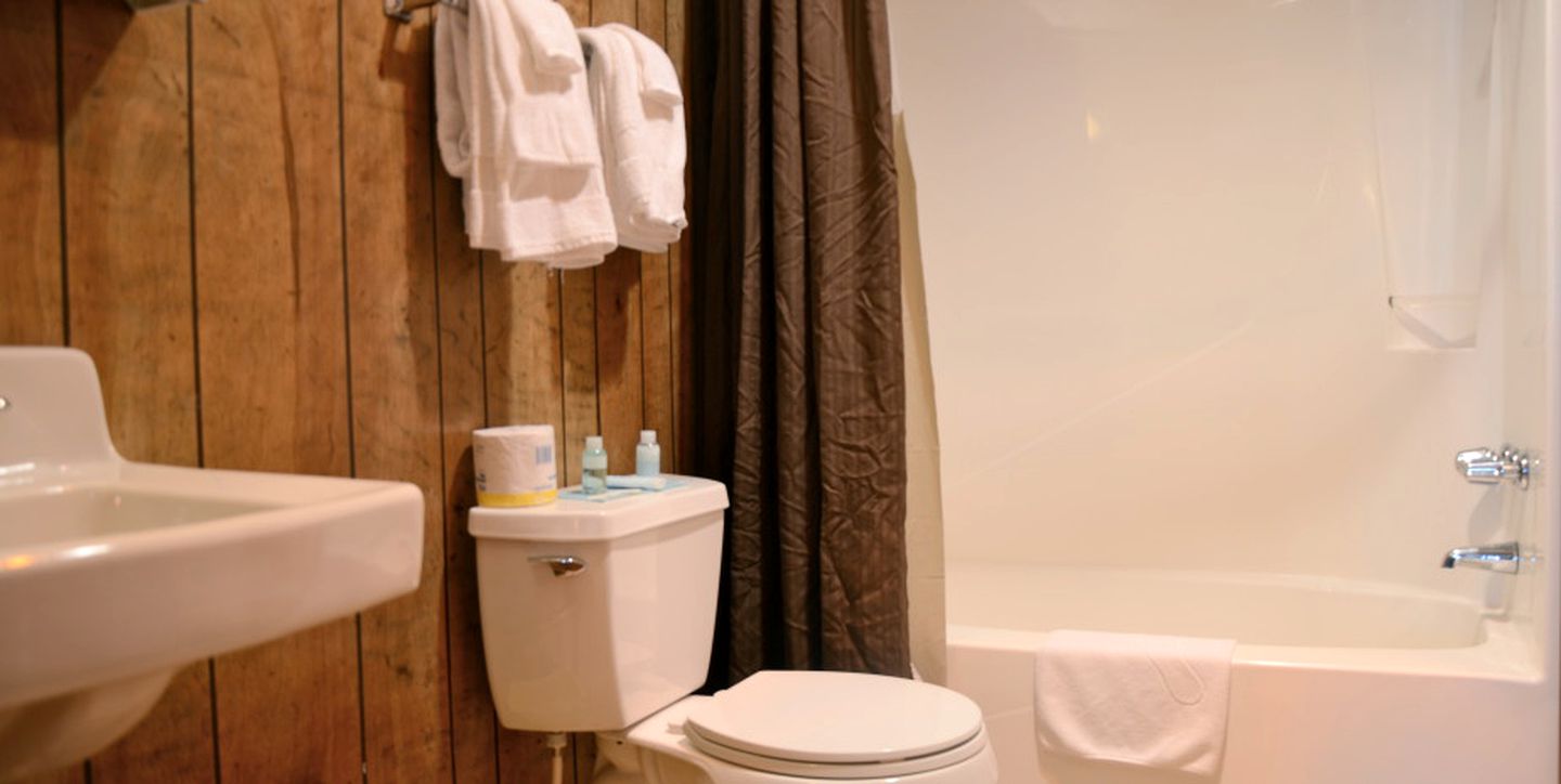 Pet-Friendly Cabin Rental with Trail Access near Durango, Colorado