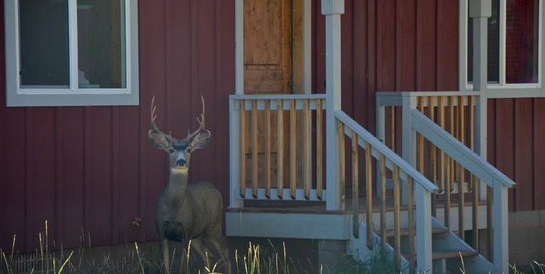 Cabins (Mancos, Colorado, United States)