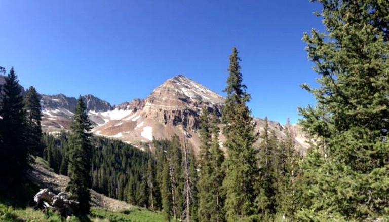 Cabins (Mancos, Colorado, United States)