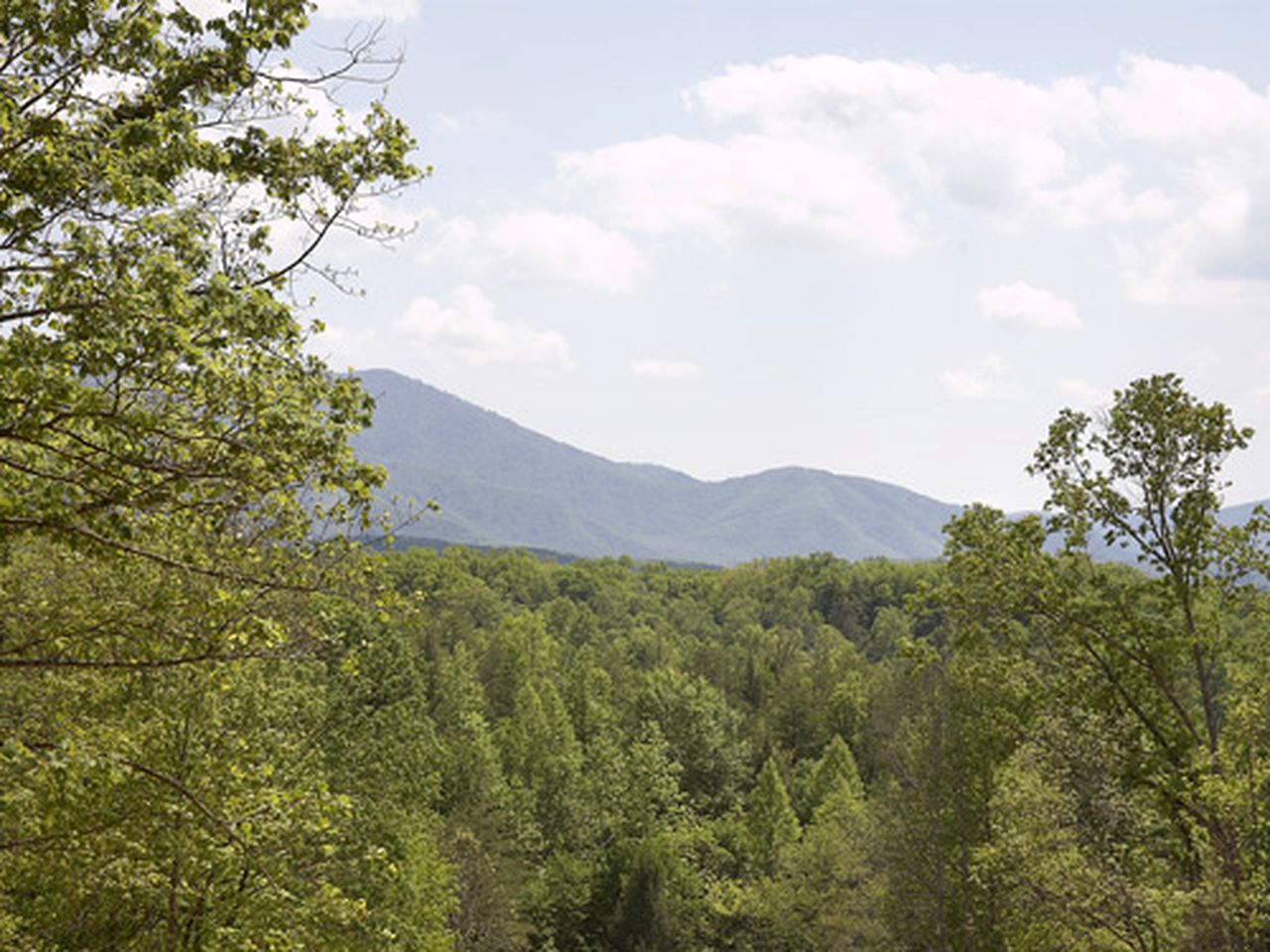 Gorgeous Cabin Rental with Amazing Views of the Great Smokies in Tennessee