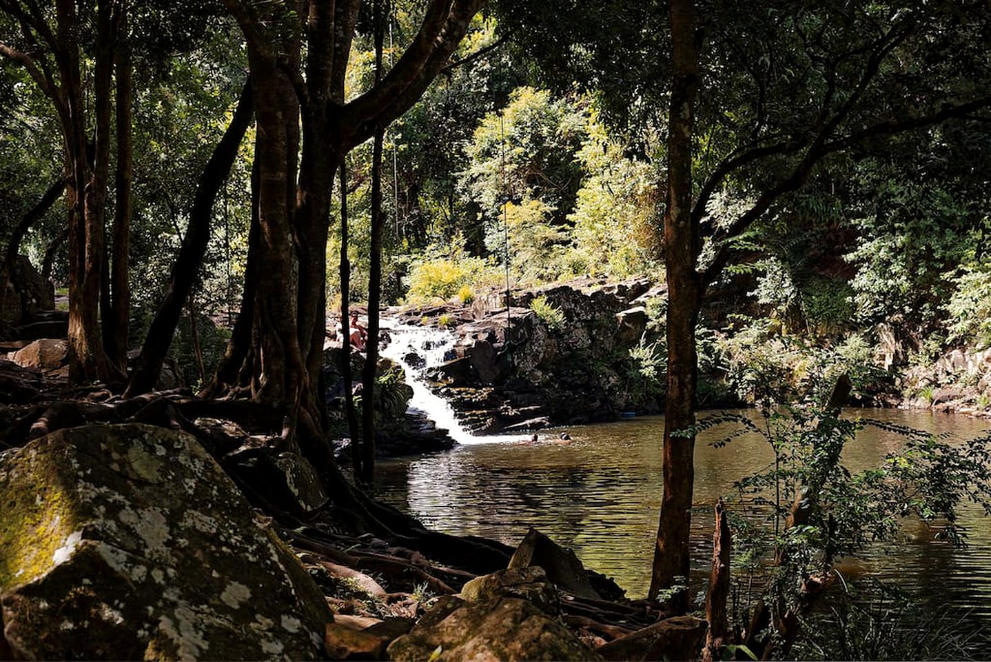 Hilltop Nature Lodge Rental with Views of the Rainforest in North Maleny, Queensland