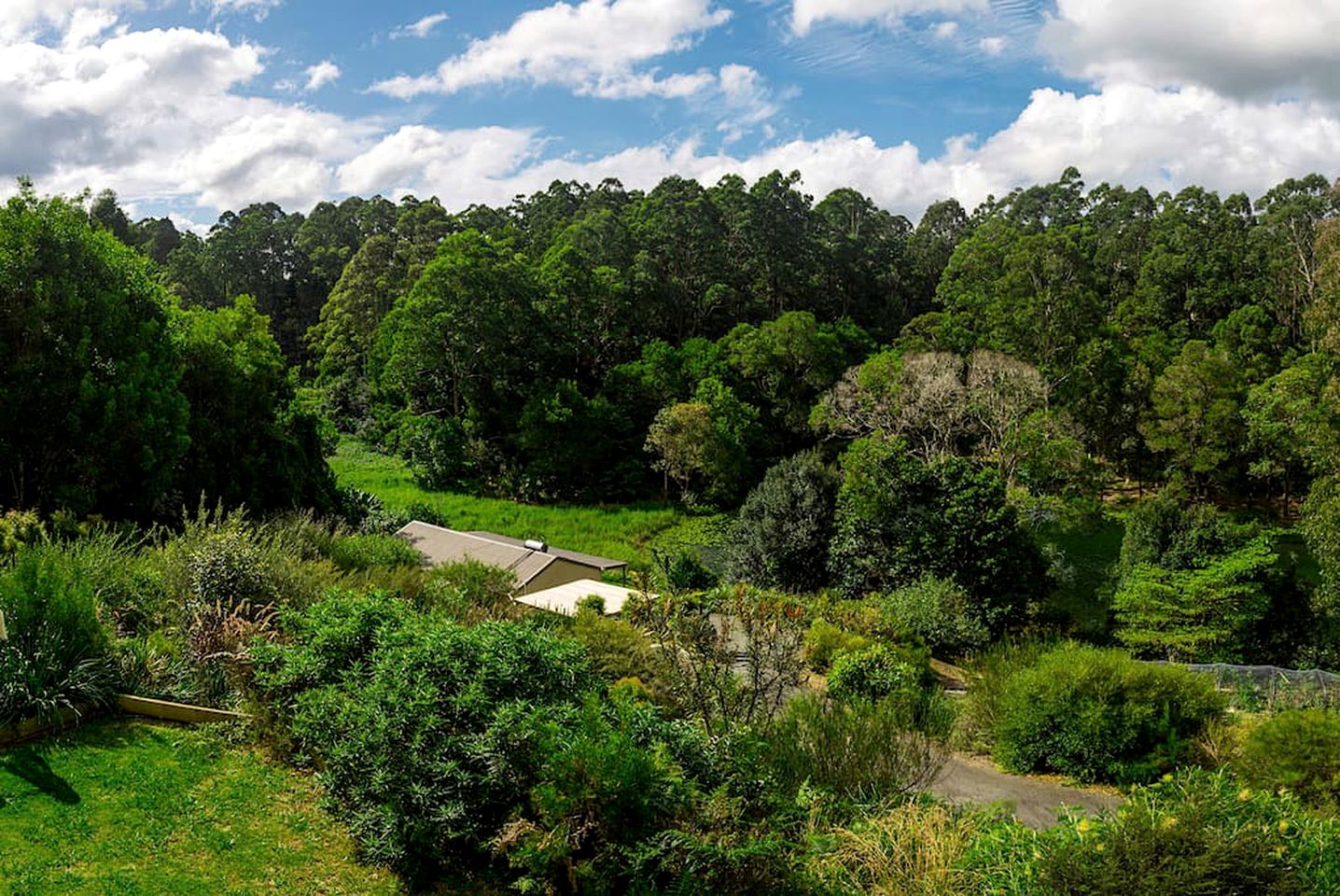 Hilltop Nature Lodge Rental with Views of the Rainforest in North Maleny, Queensland