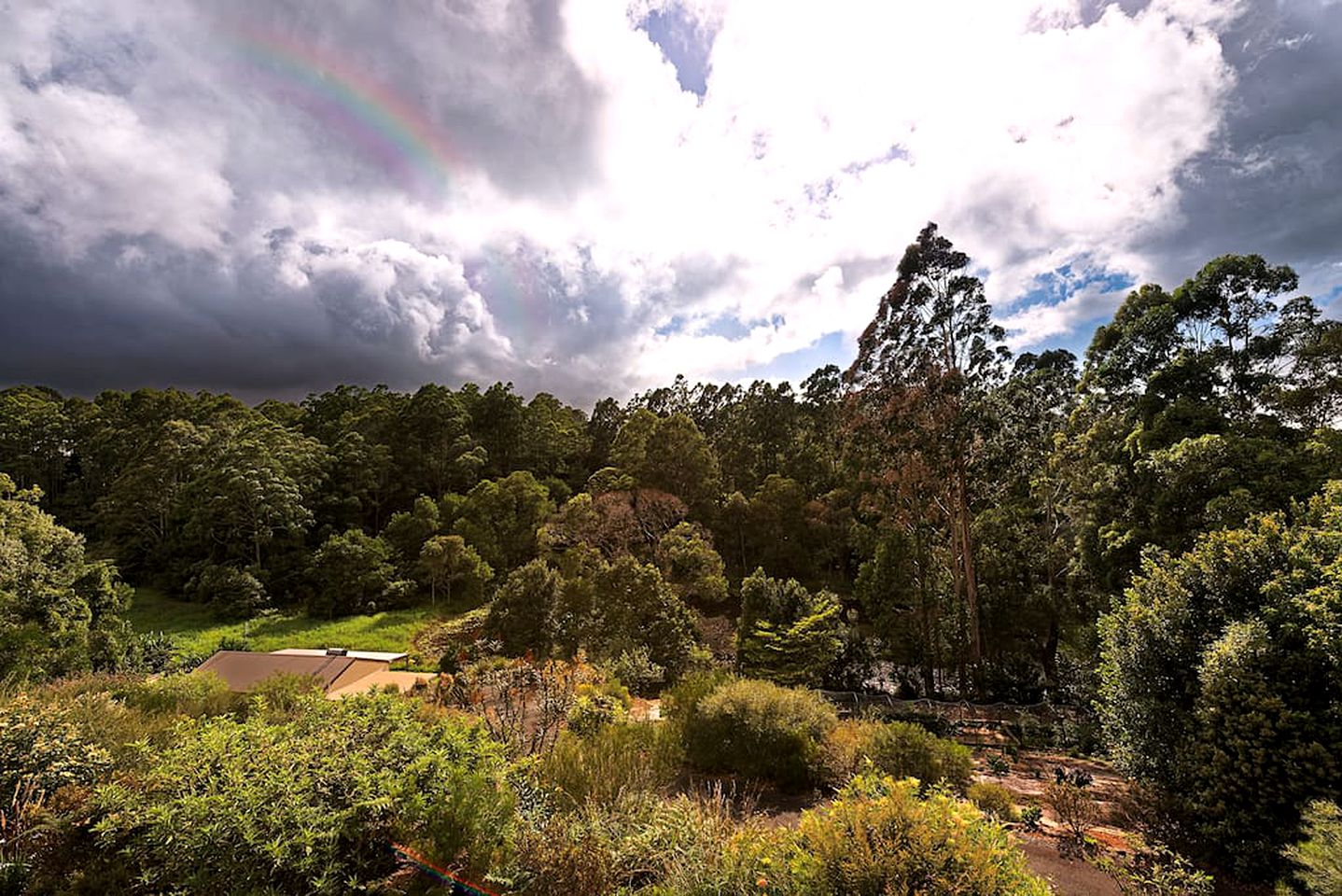 Hilltop Nature Lodge Rental with Views of the Rainforest in North Maleny, Queensland