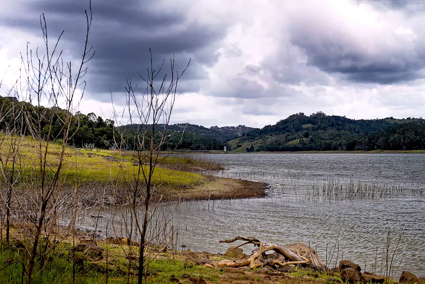 Hilltop Nature Lodge Rental with Views of the Rainforest in North Maleny, Queensland