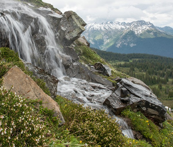 Cabins (Tappen, British Columbia, Canada)