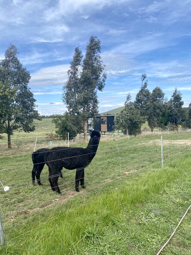 Tiny Houses (Australia, Clunes, Victoria)