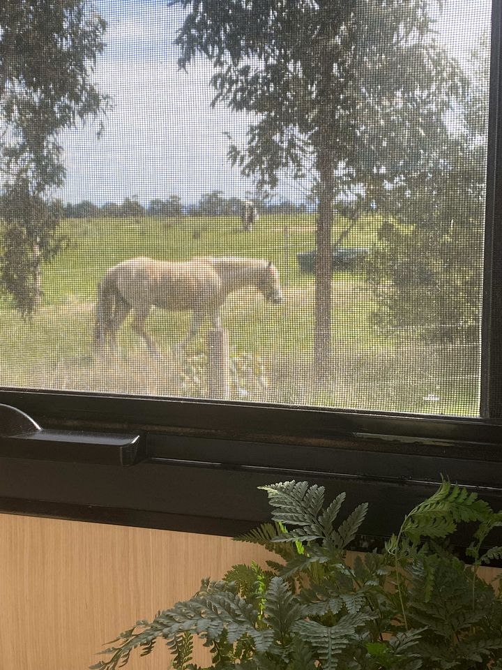 Pet Friendly Tiny Home for a Glamping Getaway outside Melbourne