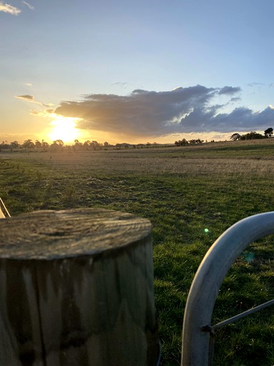 Tiny Houses (Australia, Clunes, Victoria)