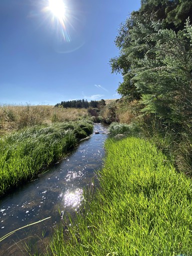 Tiny Houses (Australia, Clunes, Victoria)