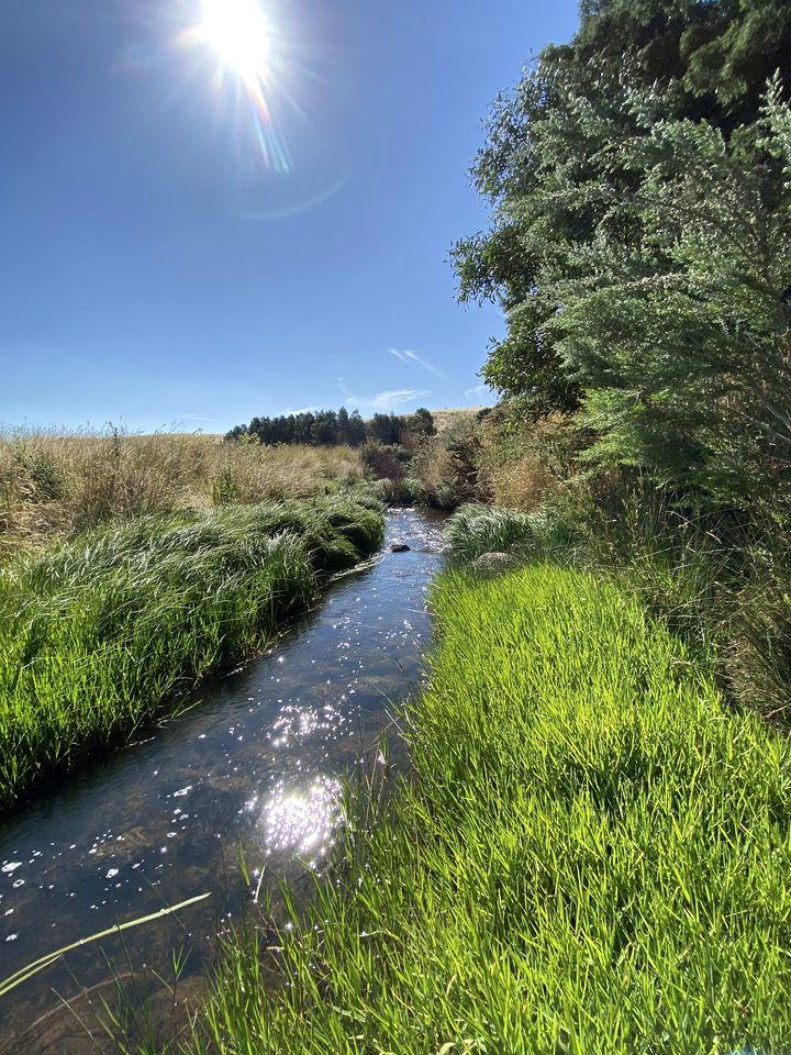Pet Friendly Tiny Home for a Glamping Getaway outside Melbourne