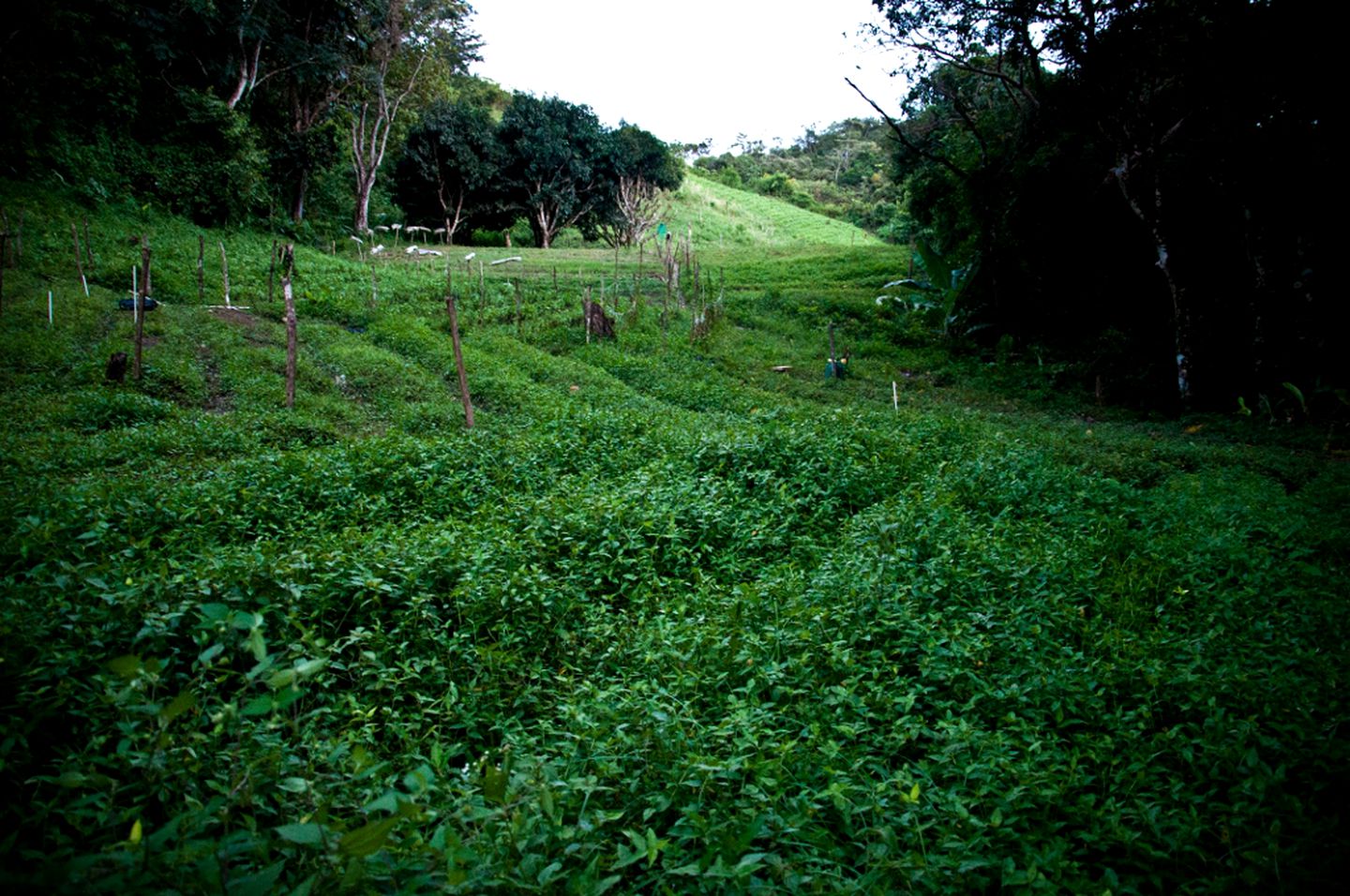 Sustainable Holiday Rental for Two with River Views near Panama City