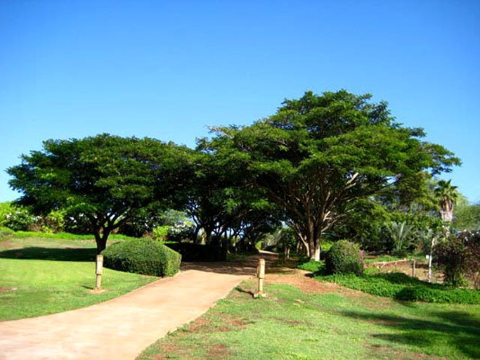 Beach Houses (Mauna Loa, Hawaii, United States)