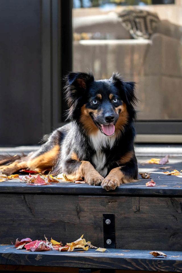 Tranquil Scandinavian Chalet with Panoramic Forest Views and Private Jacuzzi near Saint-Côme, QC