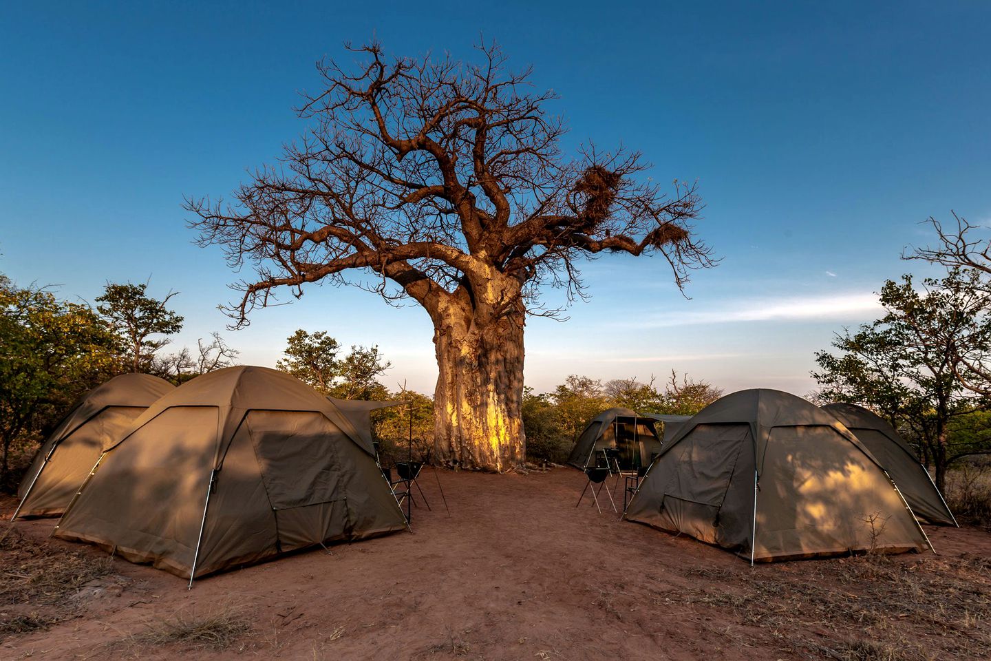 Fabulous Tent Getaway Amid the Wilderness of Limpopo, South Africa