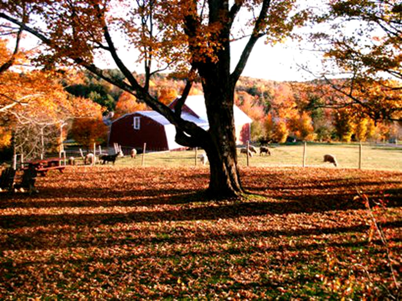 Room with Complimentary Breakfast in the Winthrop Lakes Region, Maine