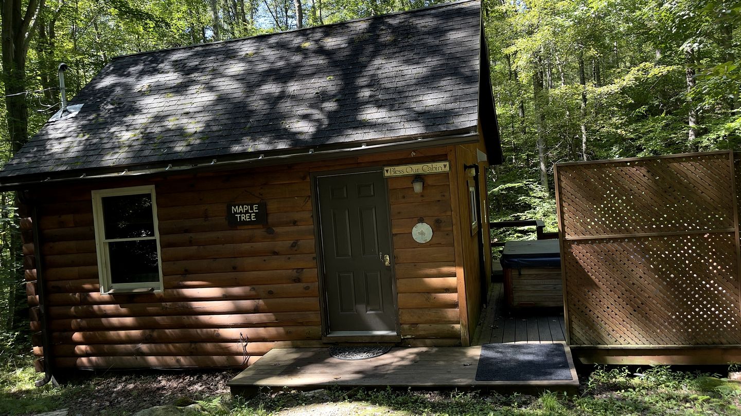 Cute Cabin with Hot Tub and Fire Pit in Bruceton Mills, West Virginia