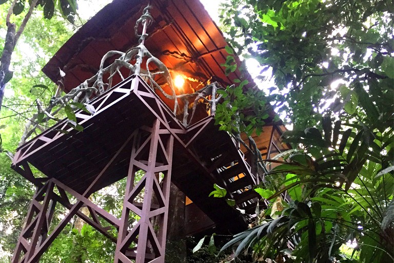 Tree Houses (San Carlos, Alajuela, Costa Rica)