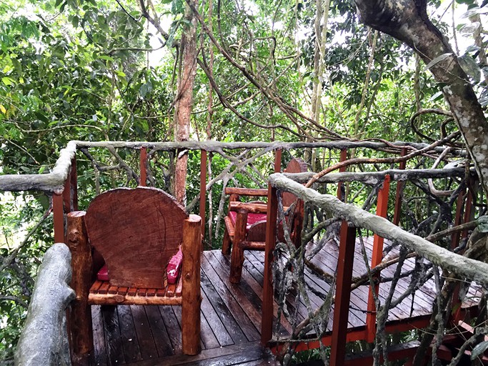 Tree Houses (San Carlos, Alajuela, Costa Rica)