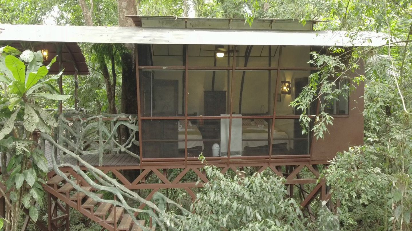 Tree House Rental in a Tropical Rainforest in Alajuela, Costa Rica