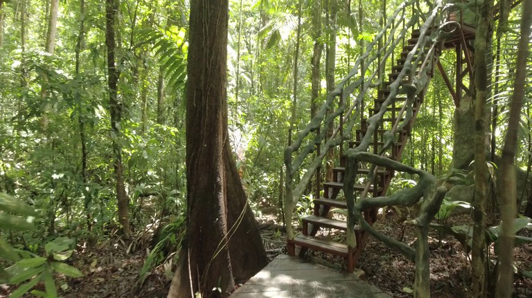 Tree Houses (San Carlos, Alajuela, Costa Rica)