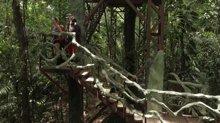 Tree Houses (San Carlos, Alajuela, Costa Rica)