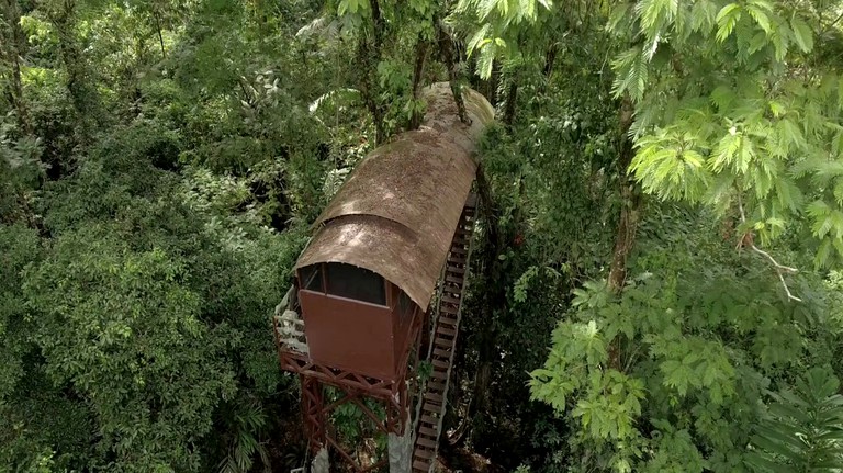 Tree Houses (San Carlos, Alajuela, Costa Rica)