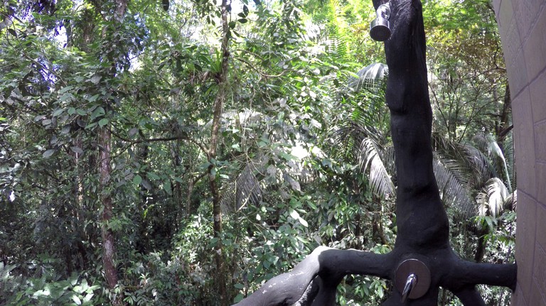 Tree Houses (San Carlos, Alajuela, Costa Rica)