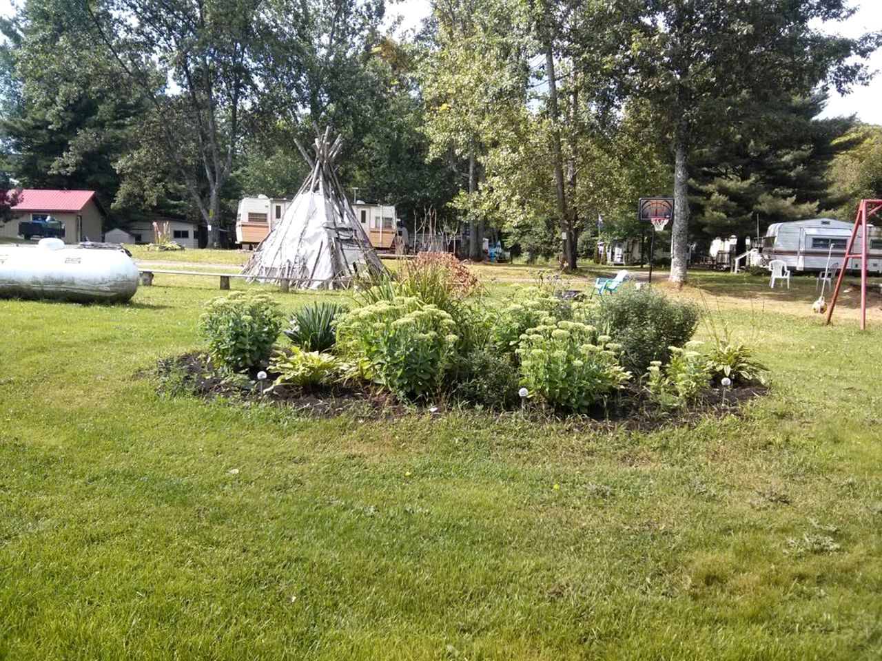 Cabin in Cloyne, Ontario