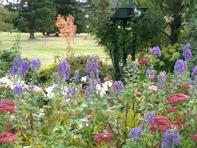 Nature Lodges (Hanmer Springs, South Island, New Zealand)