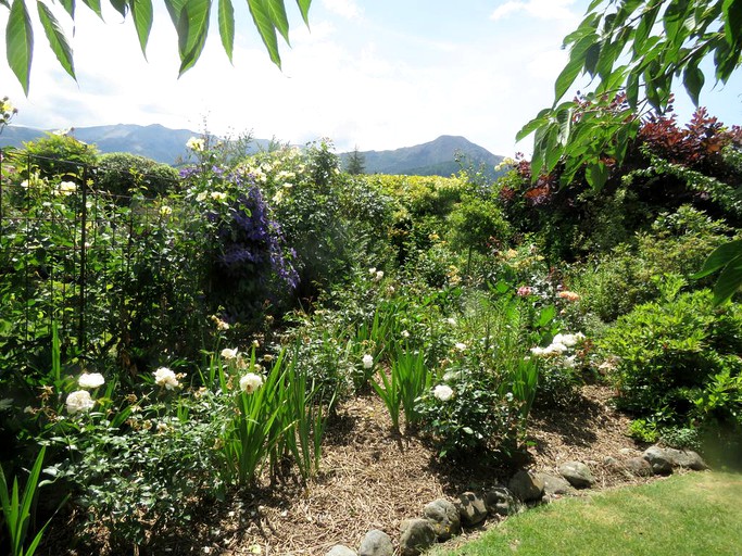 Nature Lodges (Hanmer Springs, South Island, New Zealand)