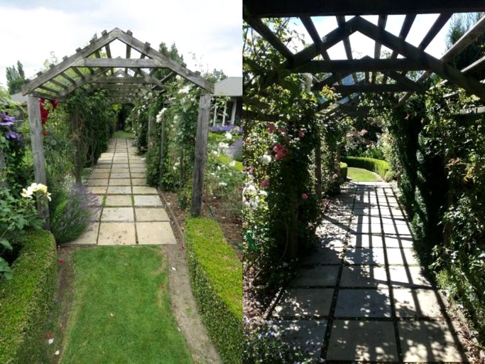 Nature Lodges (Hanmer Springs, South Island, New Zealand)