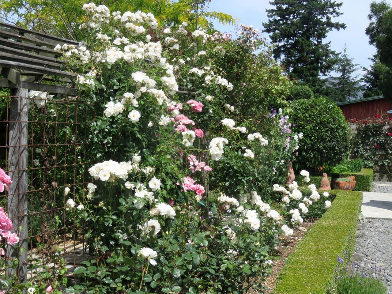 Deluxe Suite Rental near Hanmer Thermal Resort in Canterbury, South Island