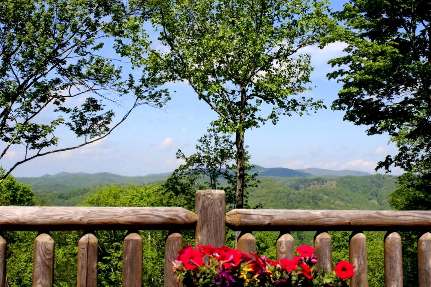 Impressive Log Cabin with a Private Hot Tub in Mars Hill, North Carolina