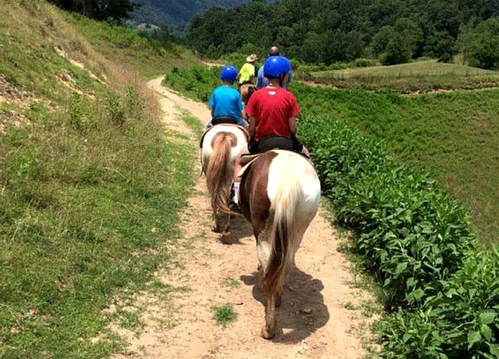 Log Cabins (Mars Hill, North Carolina, United States)