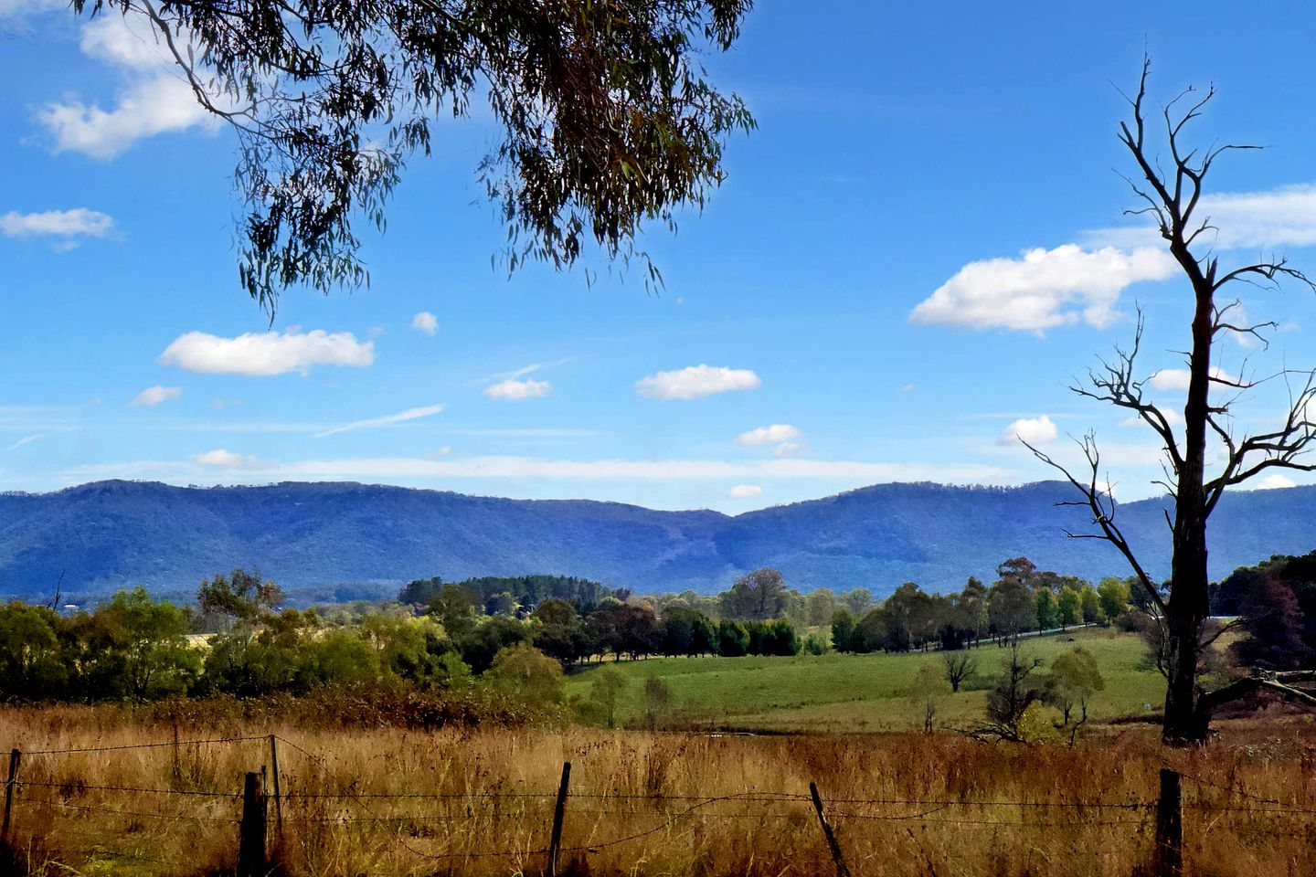 Glamping in Harmony with the Great Outdoors in this Wonderful Cottage in the Blue Mountains