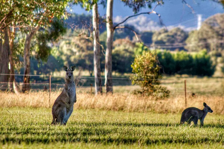 Vacation Rentals (Australia, Little Hartley, New South Wales)