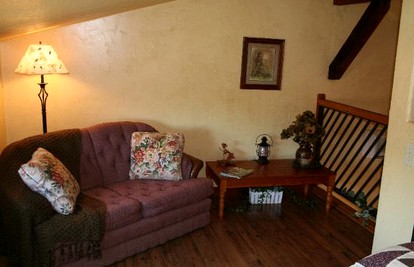undefined photo 5