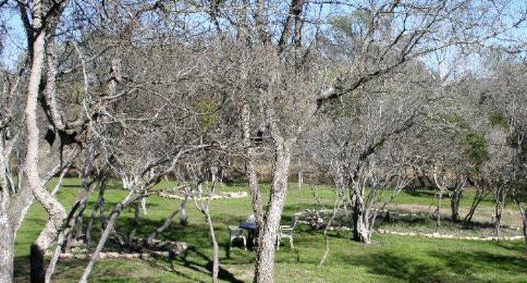 Cabins (Buda, Texas, United States)