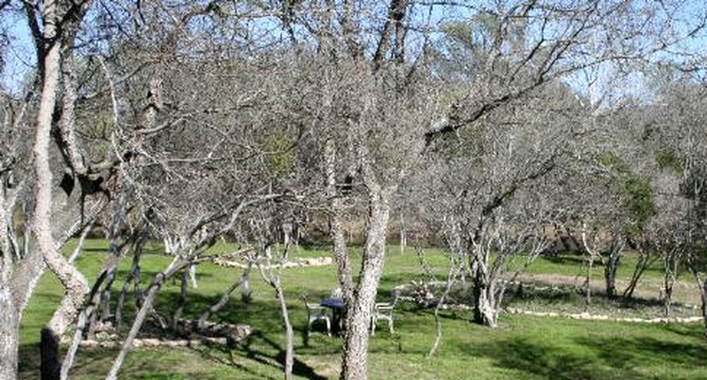 Creekside Cabin Rental for Quintessential Staycation near Austin, Texas