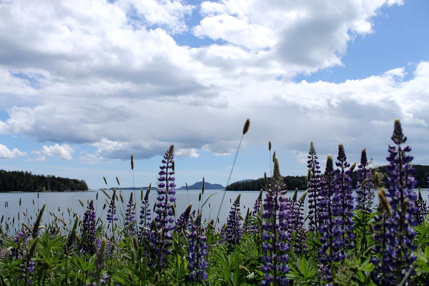 Charming Waterfront Sea Cottage with Private Beach near Bar Harbor, Hancock Maine