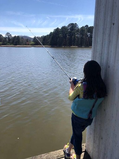 Vacation Rentals (United States of America, Guntersville, Alabama)