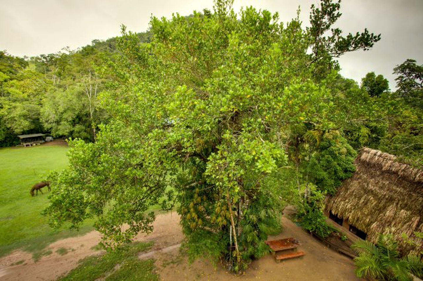 Secluded Lodge Getaway near San Ignacio, Cayo District, Belize