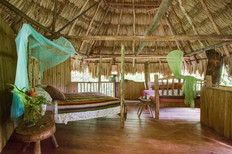 Tree Houses (Benque Viejo del Carmen, Cayo District, Belize)