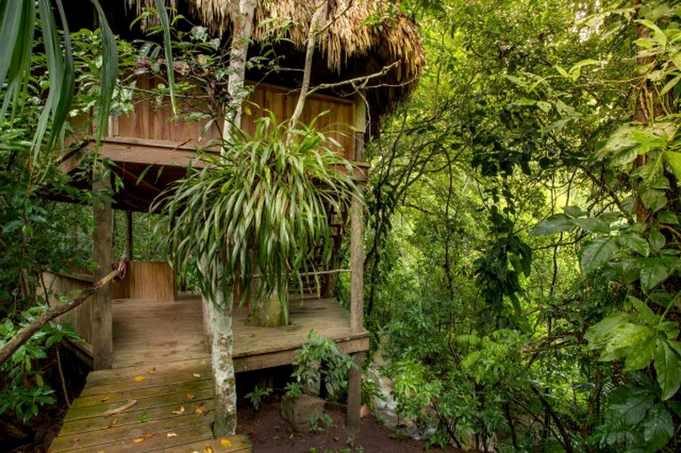 Tree Houses (Benque Viejo del Carmen, Cayo District, Belize)