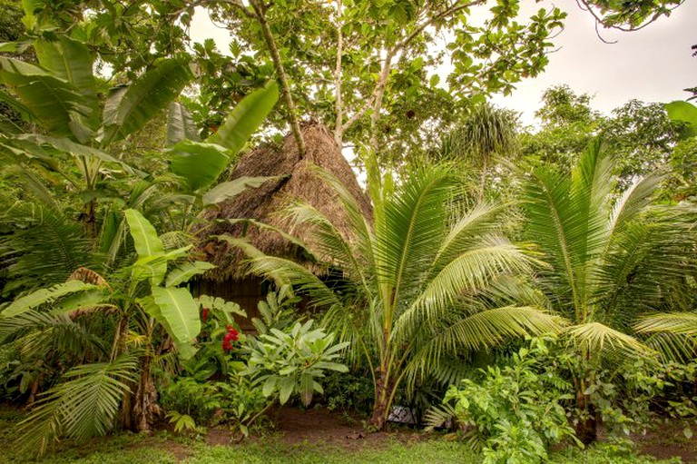 Tree Houses (Benque Viejo del Carmen, Cayo District, Belize)