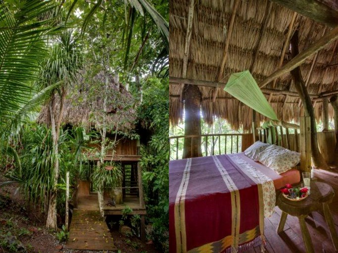 Tree Houses (Benque Viejo del Carmen, Cayo District, Belize)