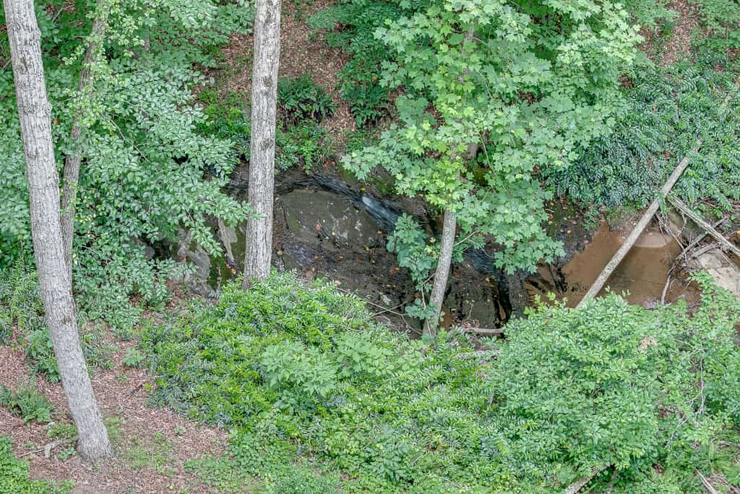 Treehouse with Waterfall Views and Spa for Romantic Glamping Escapes in Georgia