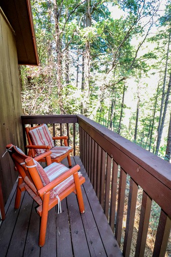 Family-Friendly Cabin Rental near Mormon Lake in Northern Arizona | Cabins (Sedona, Arizona, United States of America)